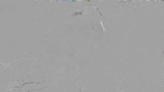 AssParade Remy Woods