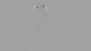 AnalOnly Scarlett Hampton