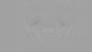 WoodmanCastingX Daisy Cake Casting Hard