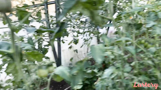 Lustery E Crystal And Shaldon Greenhouse Blowjob FETiSH