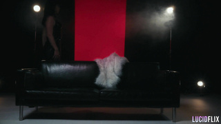 LucidFlix Queen Sateen In Posh Luminati PP