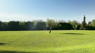 HuntK Suzie Sparklez NBQ