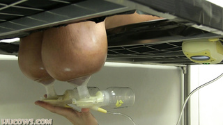 HuCows Katie Sleep Massage WEIRD