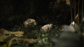 ForPlayFilms Kira Noir Devotion FETiSH