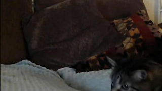 Cute Guy Gets a Blowjob and Finishes Big