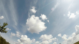 HuntK Helina Dream NBQ