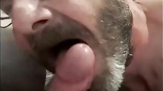 Daddy's Blowjob Practice with Amateur Bear Couple