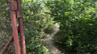 HuntK Miss Olivia NBQ