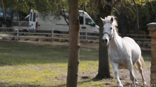 EvilAngel Kelly Stafford Rebel Rhyder And Lilly Mays WRB