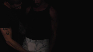 Bareback Plus –Stud Loads Vol 2– Mare Assessment