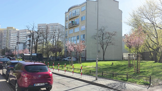 XES Nikita BTS POLISH WRB