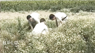 Book & Film International – Wicked country boys