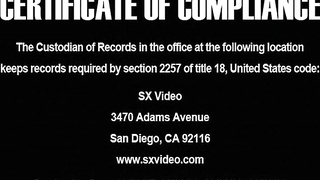 SX Video – Brothers Bareback (2008)