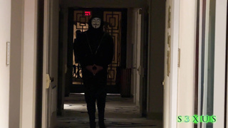 SXUS Laney Grey And Bunny Madison Vibration WRB