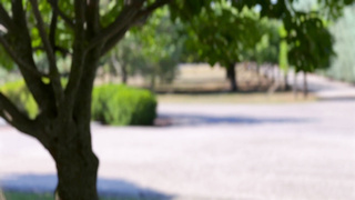 LoveHerBoobs Tatiana Alvarez Aka Kourtney Love Heartbreak And Comfort PP