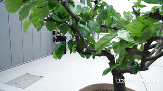 BackdoorPOV Cornelia The Foxy Maids Dirty Secret VSEX