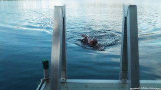 Shore Things (2025) Sc2