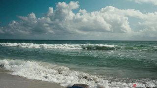 DigitalPlayground Little Dragon A Survivors Paradise WRB