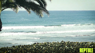 ReptyleLabs Charlie Forde Unfiltered WRB