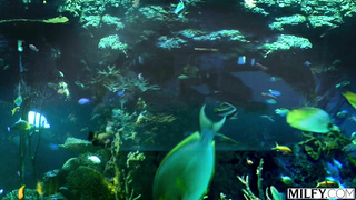 Milfy Lauren Phillips Married Redhead Lauren Gets DPed PP