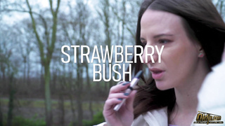 Oldje Dragon Fruit Aka Liliana Lily Salvador Strawberry Bush Episode PP