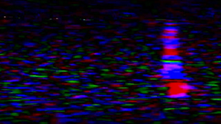 Adam Snow, Marcus McNeill & Noah White