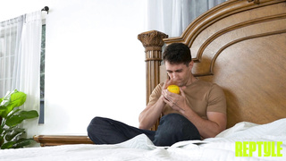 ReptyleLabs Aleksa Mink WRB