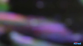 NerdPervert E Josephine James Sucking Dream Come True LEWD