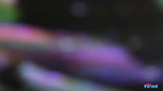 NerdPervert E Ellie Eastleigh Busted By A Beauty LEWD