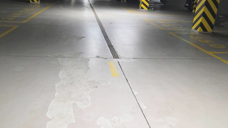 XES Judyta BTS POLISH WRB