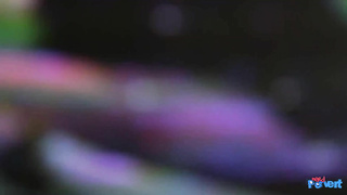 NerdPervert E Liz Rainbow Munch On The Minge LEWD