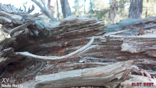 XVideosRED Willow Ryder Slut Hunt Ep Wrecking Willow PP