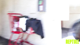 ReptyleLabs Daydream Daisy WRB