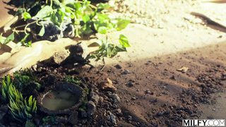 Milfy Bree Brooks And Chloe Temple Blonde MILF And Eager Cutie Share Studs Cock PP