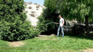 CathysCrng Scene The New Gardner GAPFiLL