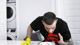 The Cleaner