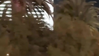 MySexMobile Cassie Del Isla