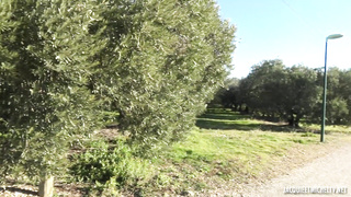 JacquieEtMichelTV Anais Hoped To Be Up To FRENCH