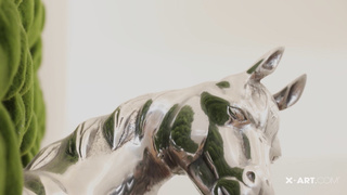 XArt Anie Darling And Rebecca Volpetti Two Year Old Fashion Models