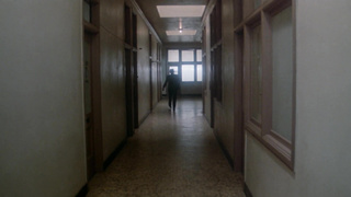 Dixie Ray Hollywood Star BluRay H AACRARBG