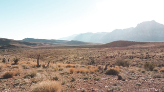 Transfixed S E Natalie Mars and Haley Reed The Heist