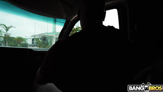 BangBus Payton Avery