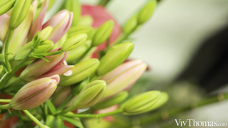 VivThomas Angelika Grays And Nicole Smith Blossoming Dreams