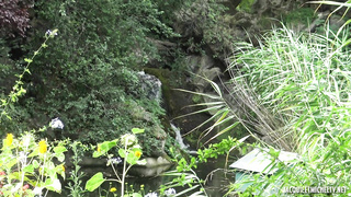 JacquieEtMichelTV Marie Apparently Wise FRENCH