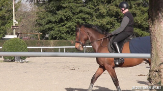 JacquieEtMichelTV Helena Passionate About Riding FRENCH
