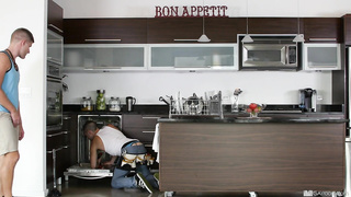 Plunging The Plumber