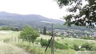 JacquieEtMichelTV Celeste And Flora Strasbourg Orgy FRENCH