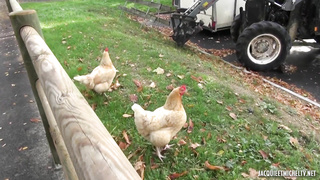 JacquieEtMichelTV Gwendoline Groom FRENCH