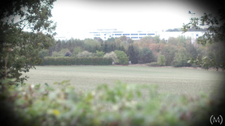 MetArtFilms Dido Watch Or Watched