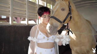 PlayboyPlus Resolutions